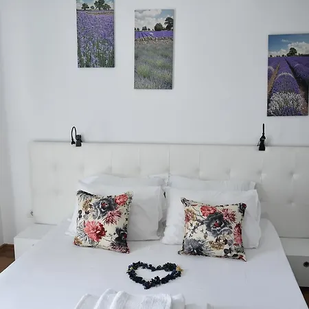 Apartment Madalina *