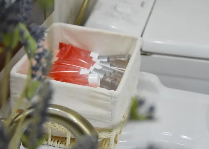 Madalina Apartamento *